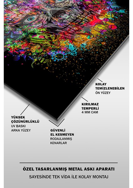 Psychedelic Kuru Kafa Tasarım Kare Cam Tablo