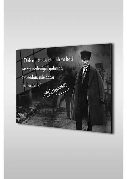 Atatürk Özel Tasarım 14 Siyah Beyaz Yatay Cam Tablo