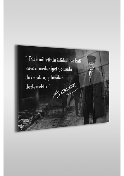 Atatürk Özel Tasarım 14 Siyah Beyaz Yatay Cam Tablo fiyatları