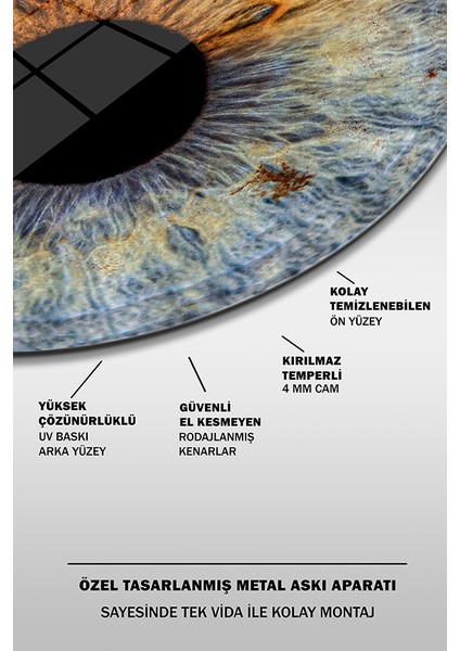 Mavi ve Kahverengi Gözbebeği Yuvarlak Cam Tablo