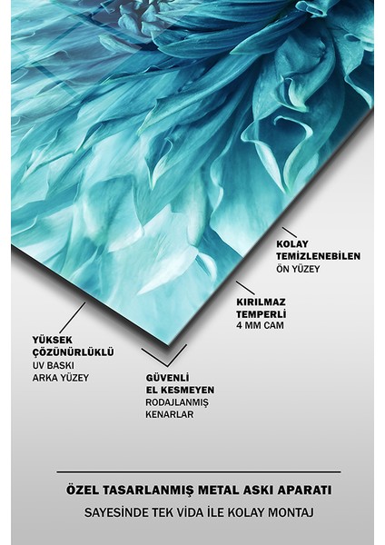 Mavi Çiçek Yakın Çekim Yatay Cam Tablo fırsatları