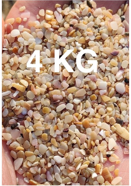 Akvaryum Kumu Tropikal Midye Kırığı Kum 4 kg