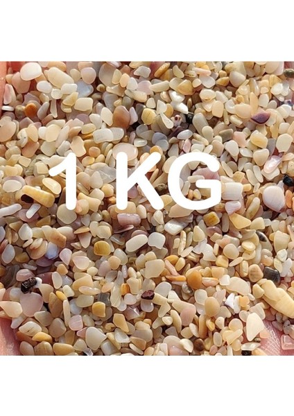 Akvaryum Kumu Tropikal Midye Kırığı Kum 1 kg