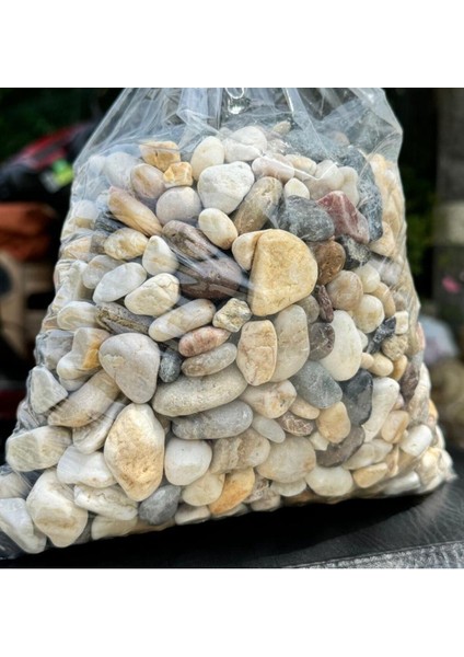 Akvaryum Taşı Saksı Taşı Bahçe Düzenleme Taşı Seçilmiş Renkli Taş ( 2 cm ) 2 kg