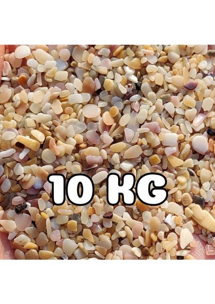 Akvaryum Kumu Yıkanmış Hazır Kurulum Midye Kırığı 10 kg