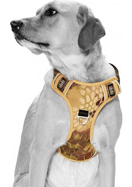 Köpek Göğüs Tasması Finwe Bej