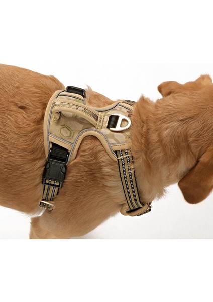 Köpek Göğüs Tasması Finwe Bej