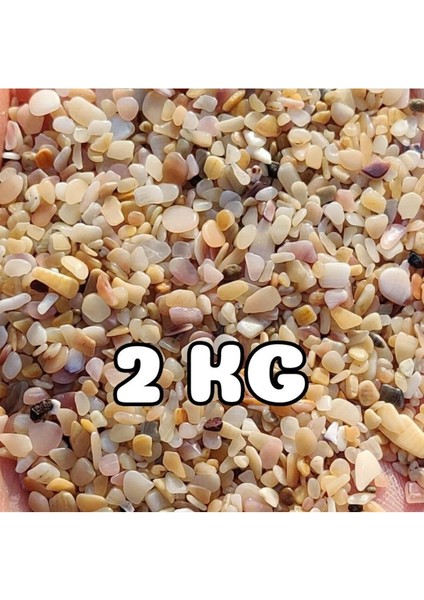 Akvaryum Kumu Tropikal Midye Kırığı Kum 2 kg