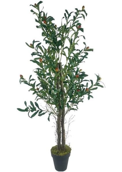 Yapay Zeytin Ağacı 125CM Iki Gövdeli Salex Doğal Gerçek Görünümlü Yapay Ağaç fiyatları