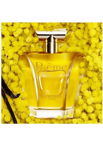 Poeme Edp 100 Ml Kadın Parfümü