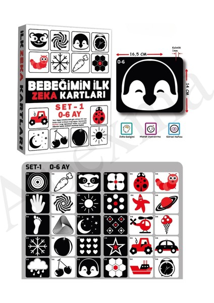 Bebeğimin Ilk Zeka Kartları Set 1-2-3 - Gelişim Destekleyici Resimli Hafıza Kartları 3'lü Set