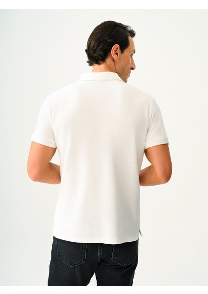 Regular Fit Erkek Polo K.kol