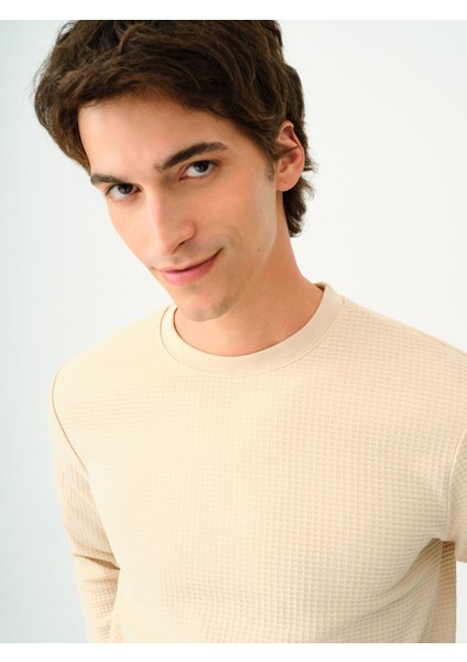 Regular Fit Erkek Tshirt U.kol fırsatları