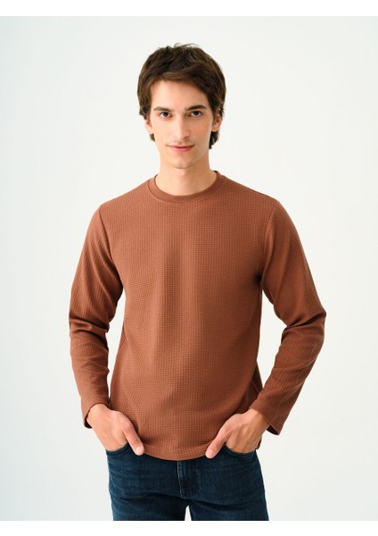 Regular Fit Erkek Tshirt U.kol