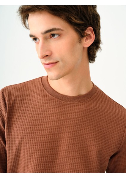 Regular Fit Erkek Tshirt U.kol fırsatları