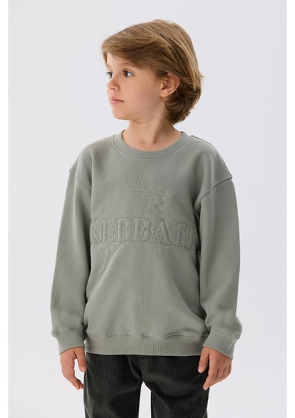 Erkek Çocuk Bej Sweatshirt fiyatları