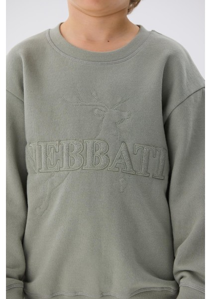 Erkek Çocuk Bej Sweatshirt modelleri