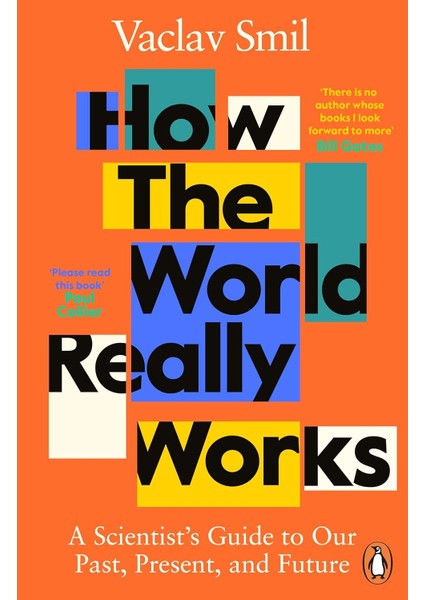 The World Really Works: A Scientist S Guide To Our Past, Present And Future