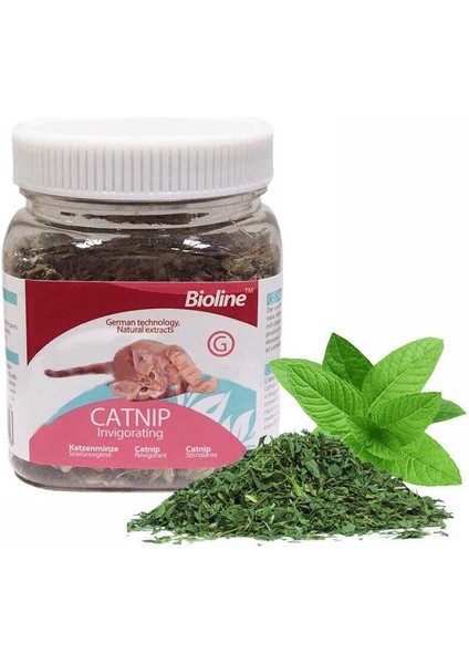 Catnip Doğal Kedi Otu 20 gr