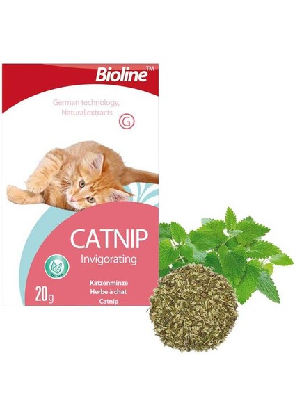 Catnip Doğal Kedi Nanesi 20 gr