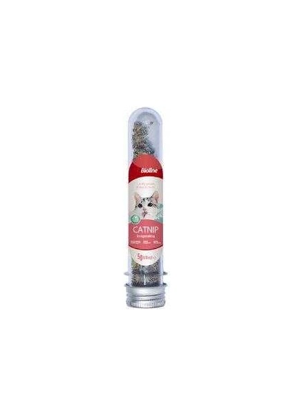 Catnip Doğal Kedi Otu 45 ml