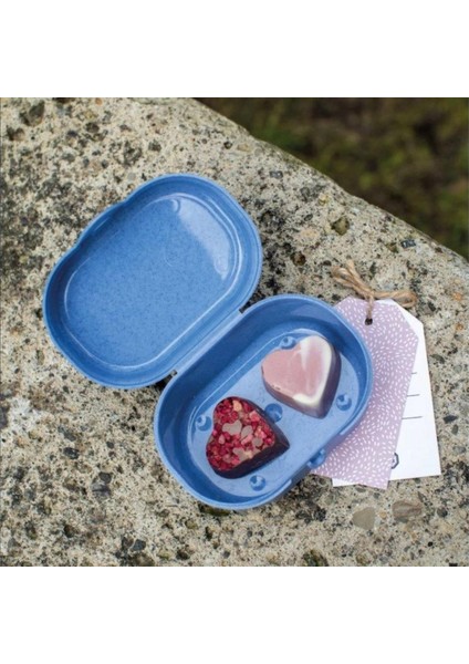 Mavi Mini Yemek Saklama Kutusu modelleri