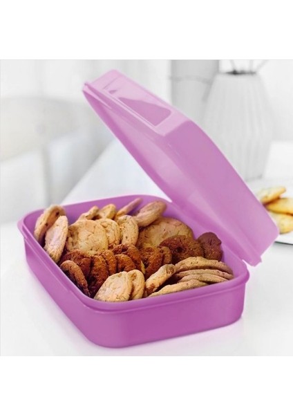 Şeker Kutu Geniş 2 Lt Dut Tupperware