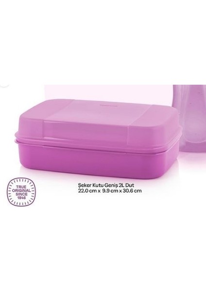 Şeker Kutu Geniş 2 Lt Dut Tupperware fiyatları