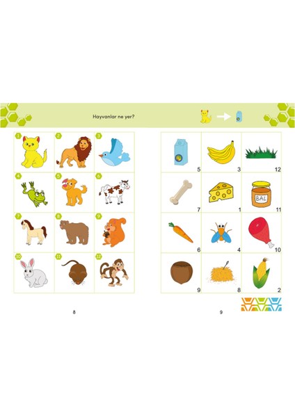 Bee Smart Görsel ve Işitsel Dikkat Seti 5-6 Yaş