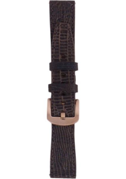 LW38-43 20 mm Hakiki Deri Iguana Kahve Kordon Gold Toka
