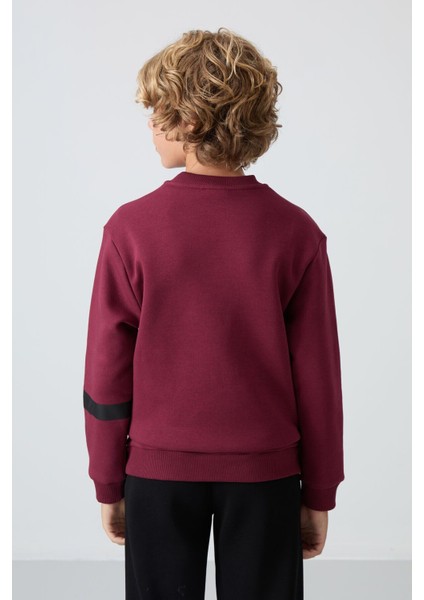 Erguvan Pamuklu Kalın İçi Tüylü Yumuşak Dokulu Standart Fit Baskılı Erkek Çocuk Sweatshirt - 11238