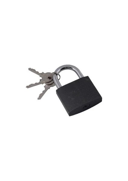 Asma Kilit Gri 50 mm