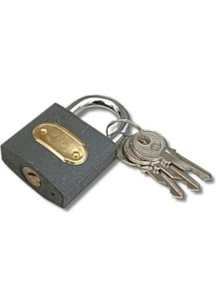 Asma Kilit Gri 50 mm fiyatları