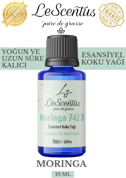 Moringa Esansiyel Koku Yağı Buhurdanlık Yağı Difüzör Hobi Esansı Oda Ortam Kokusu 10ml