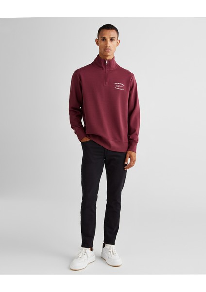 Erkek Bordo Regular Fit Yarım Fermuarlı Logolu Sweatshirt 2015071.638 modelleri