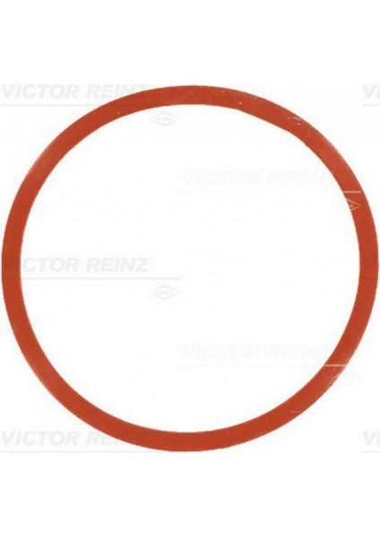 Emme Manifold Contasi Bmw M47 M57 N57N 12