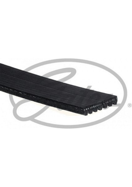 Kanalli Kayiş Opel Movano 2.2Cdti 16V 03-06 2.5Cdti 16V 03-06 Renault Master 2.2Dci 2.5Dci 97-0 12