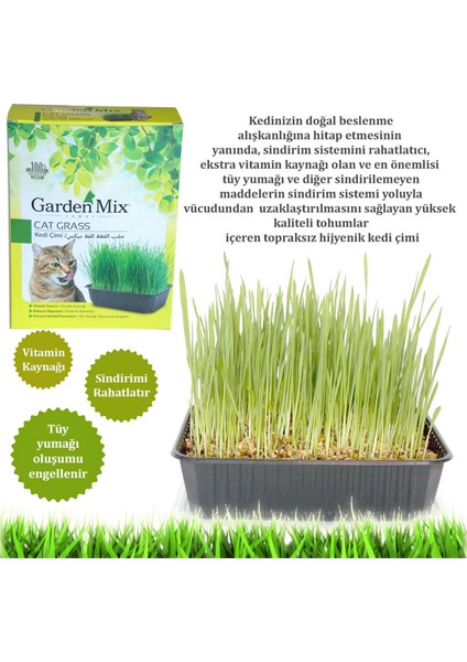 Gardenmix Kedi Çimi 12