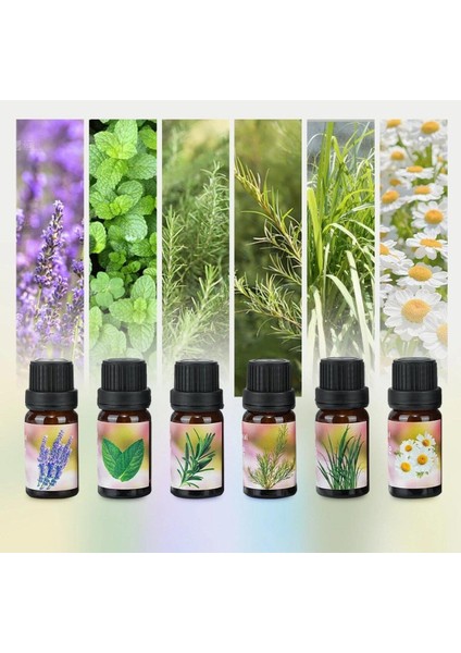 Aromatik Uçucu Yağ Saf 6 Lı Set Karışık Başlangıç Paketi Aroma Terapi