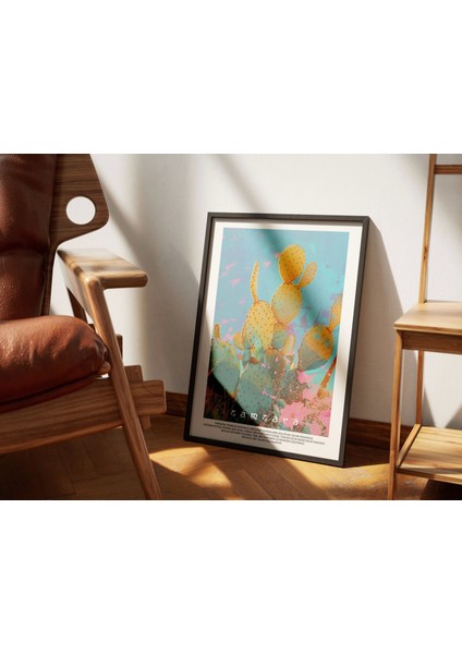 Kaktüs Doğal Renkli Baskı Tablo, Art Print Poster