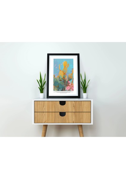 Kaktüs Doğal Renkli Baskı Tablo, Art Print Poster
