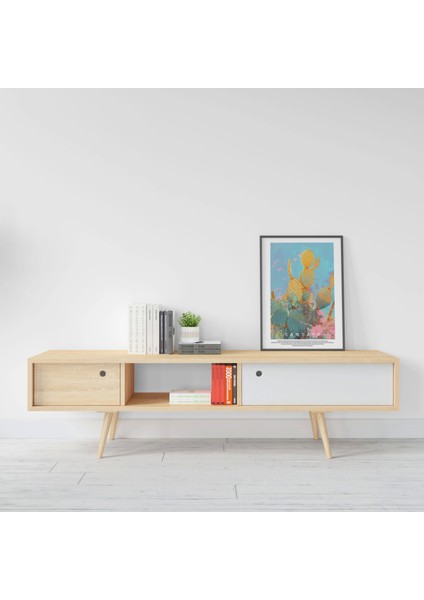 Kaktüs Doğal Renkli Baskı Tablo, Art Print Poster modelleri