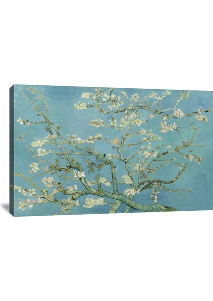 Çiçek Açan Badem Ağacı Van Gogh Kanvas Tablo