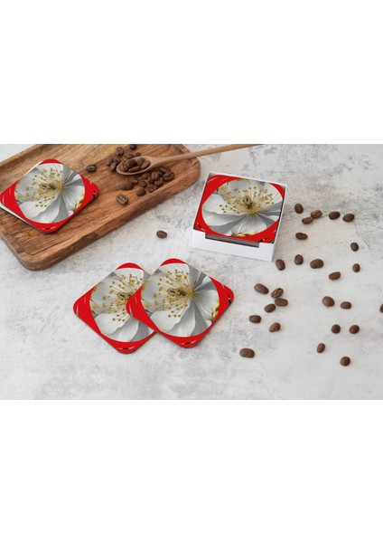 Dekoratif Bardak Altlığı Circle Design 29 fiyatları