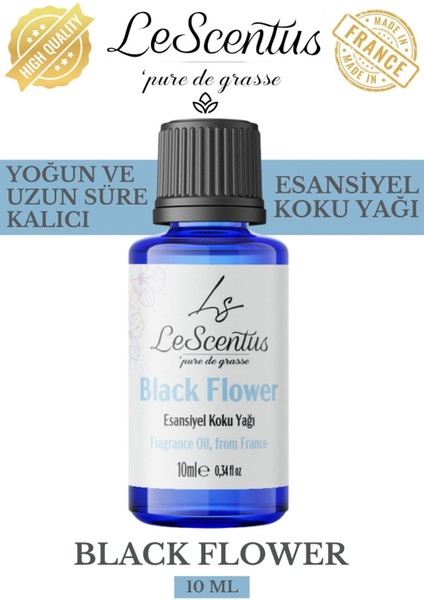 Le Scentus Blackflower Esansiyel Koku Yağı ODAKOKUSU10ml