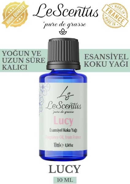 Le Scentus Lucy Esansiyel Koku Yağı ODAKOKUSU10ml