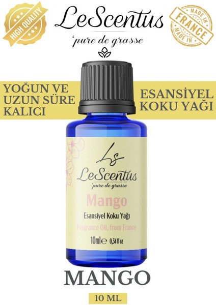 Le Scentus Mango Esansiyel Koku Yağı ODAKOKUSU10ml