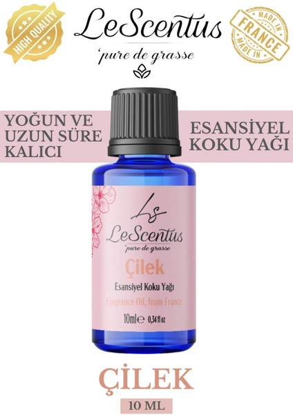 Le Scentus Çilek Esansiyel Koku Yağı ODAKOKUSU10ml