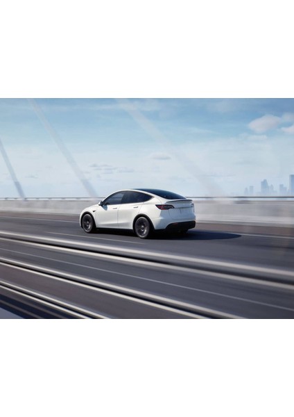 Tesla Model Y Kar Çorabı, A+ Kalite Yüksek Performanslı Kar Çorabı Xl Beden