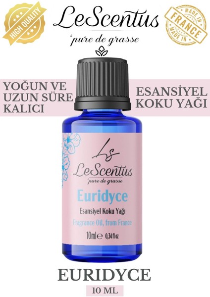 Le Scentus Euridyce Esansiyel Koku Yağı Oda KOKUSU10ml